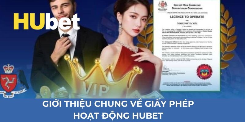 Các tiêu chí quan trọng để được cấp giấy phép hoạt động hợp pháp