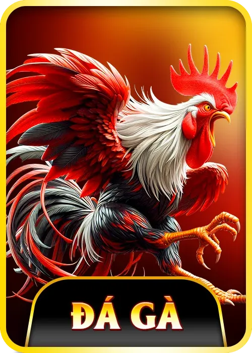 Đá gà kịch tính
